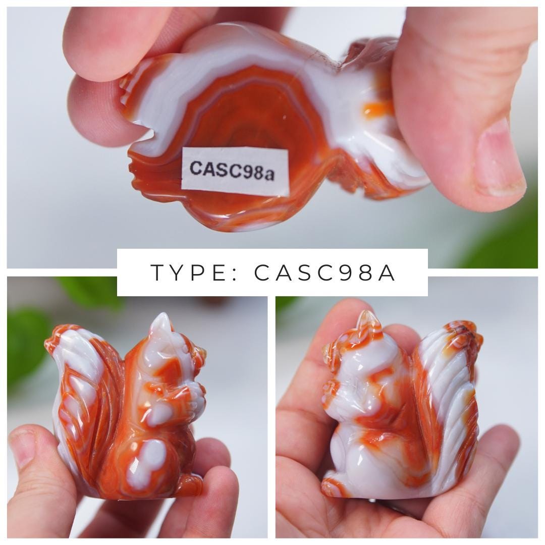 Druzy Carnelian Squirrel Boutique Carvings | High Quality | US Seller