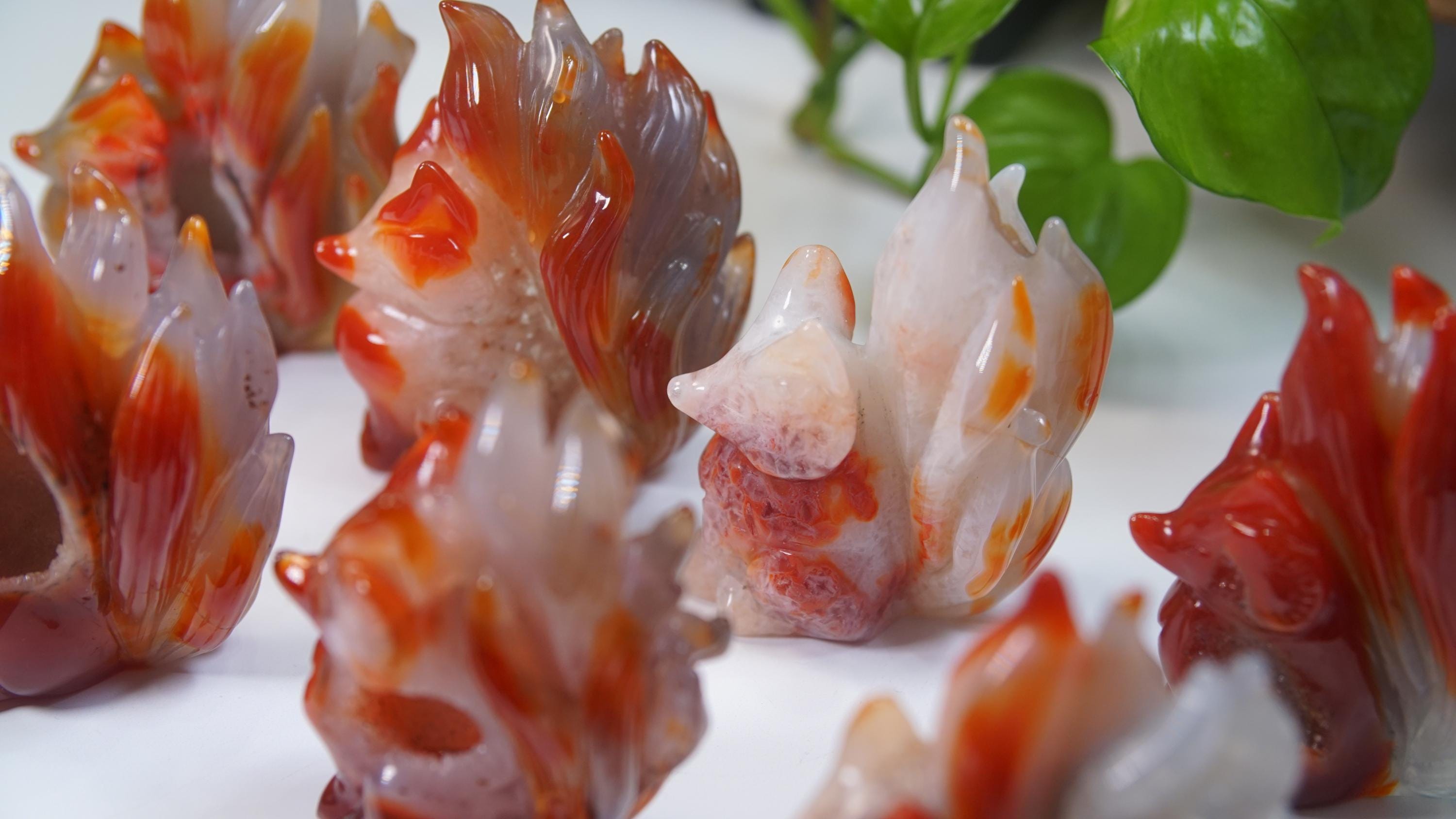 Druzy Carnelian Fox Boutique Carvings | High Quality | US Seller