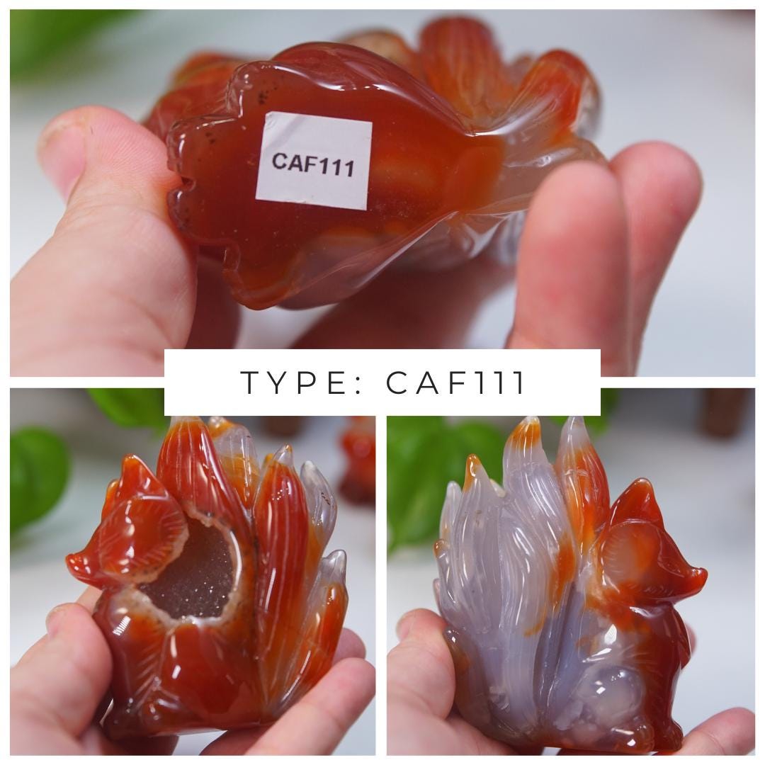 Druzy Carnelian Fox Boutique Carvings | High Quality | US Seller