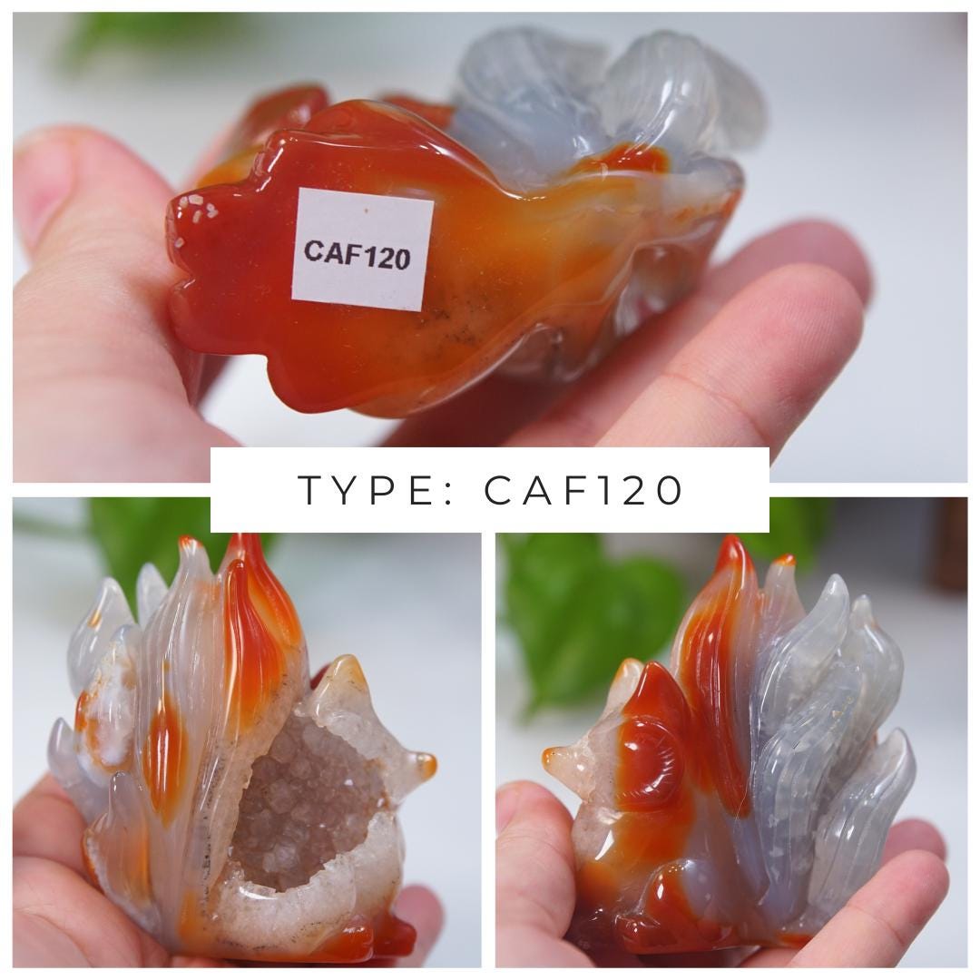 Druzy Carnelian Fox Boutique Carvings | High Quality | US Seller
