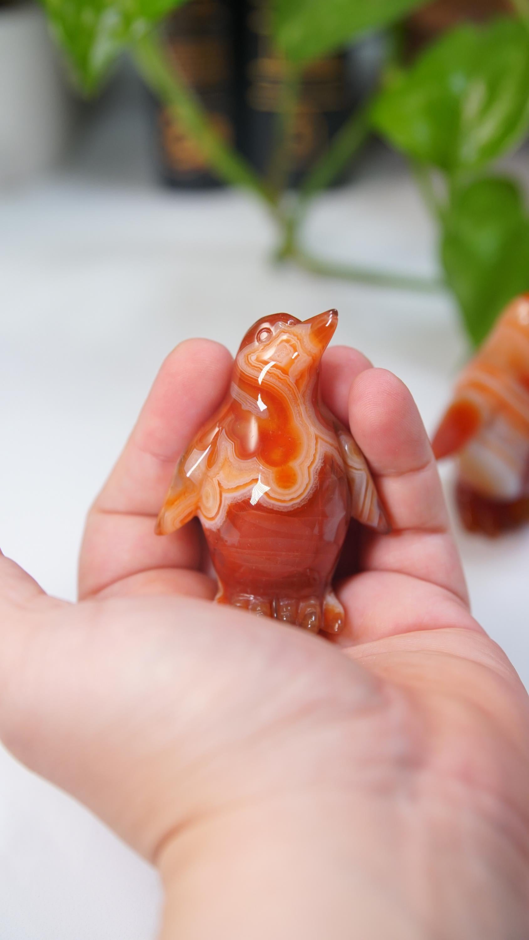 Carnelian Penguin Boutique Carvings | High Quality | US Seller