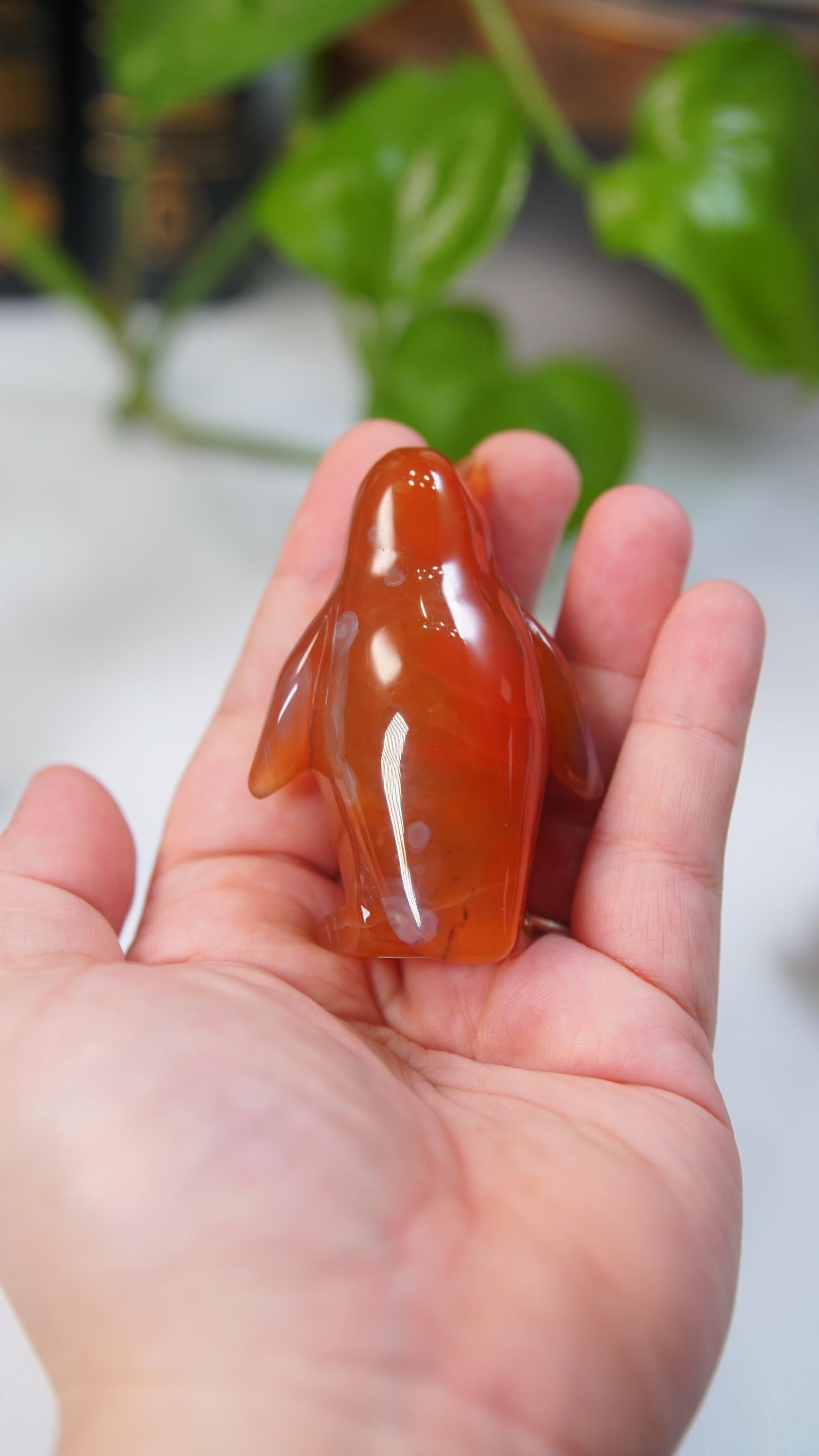 Carnelian Penguin Boutique Carvings | High Quality | US Seller