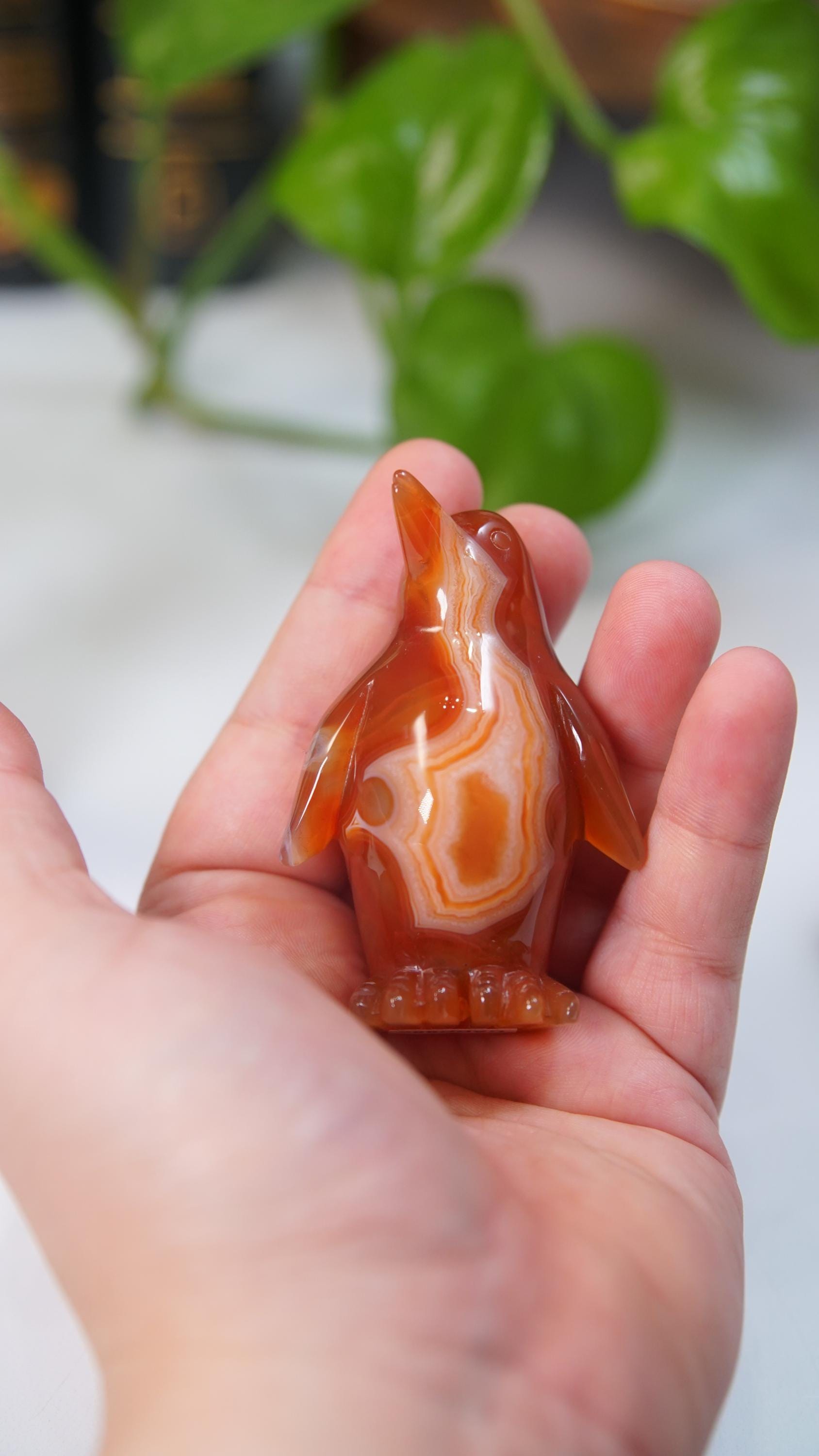 Carnelian Penguin Boutique Carvings | High Quality | US Seller