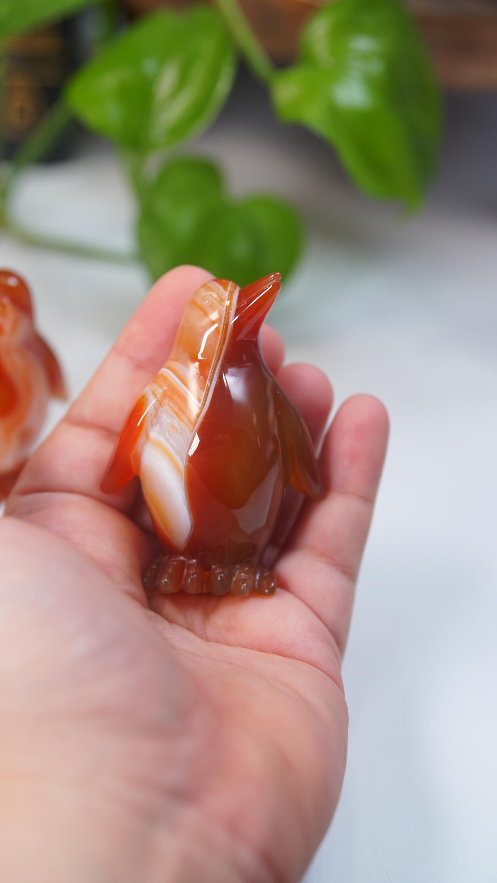 Carnelian Penguin Boutique Carvings | High Quality | US Seller