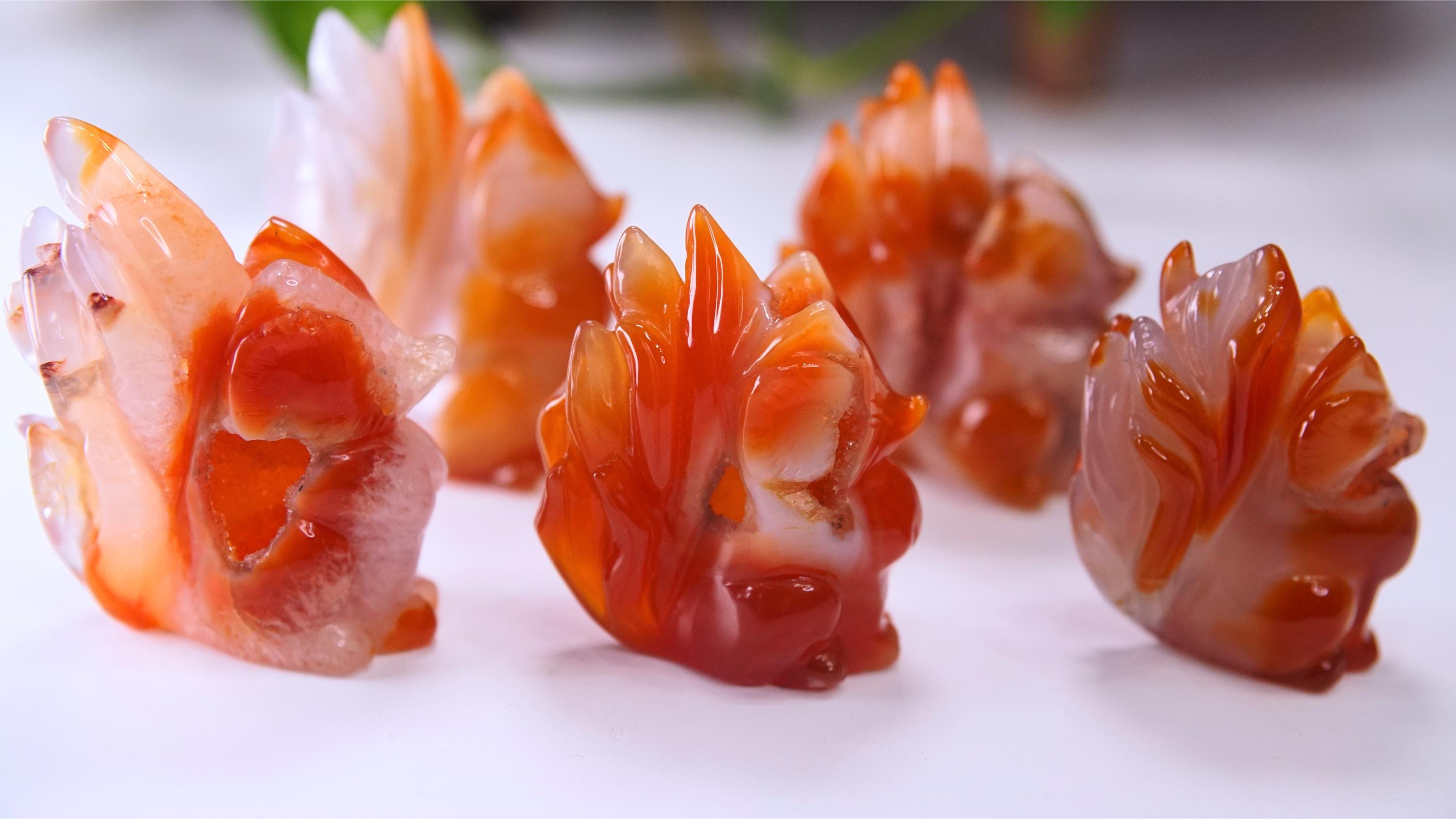 Druzy Carnelian Fox Boutique Carvings | High Quality | US Seller