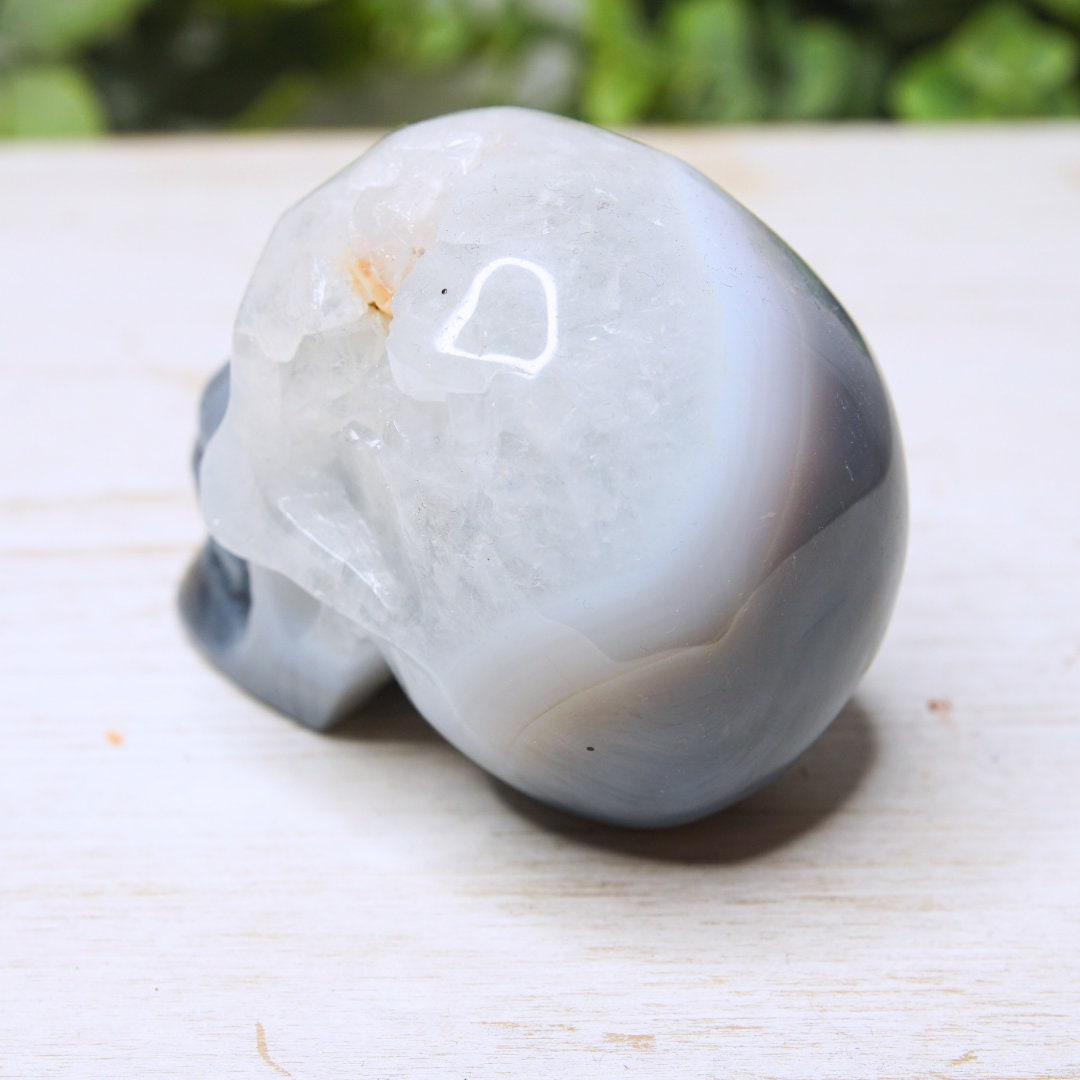 Agate Skull Large Teeth Carved Druzy Crystal Carving Home Decor Sculpture Altar Reiki Healing Energy Feng Shui