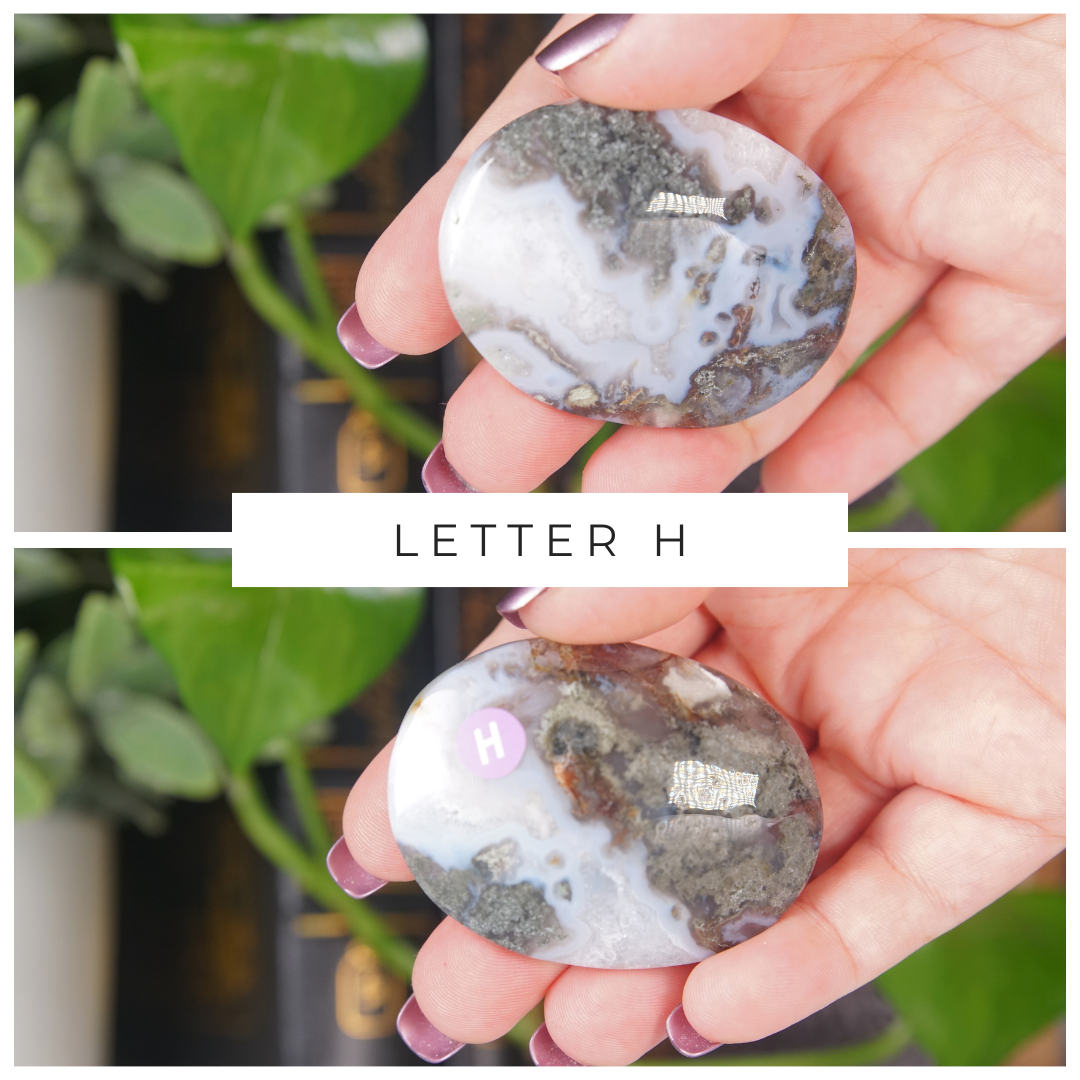 Moss Agate High Quality Palm Stones | Pick Your Favorite