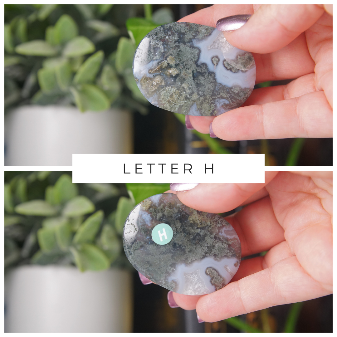 Moss Agate High Quality Palm Stones | Pick Your Favorite