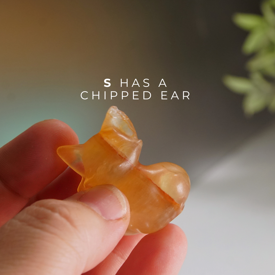 MINI Candy Fluorite Fox Carving | Pick Your Favorite