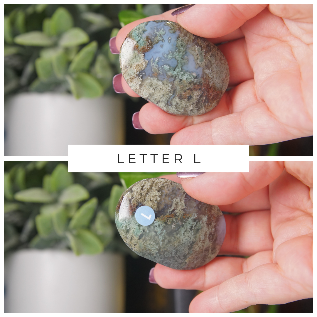 Moss Agate High Quality Palm Stones | Pick Your Favorite