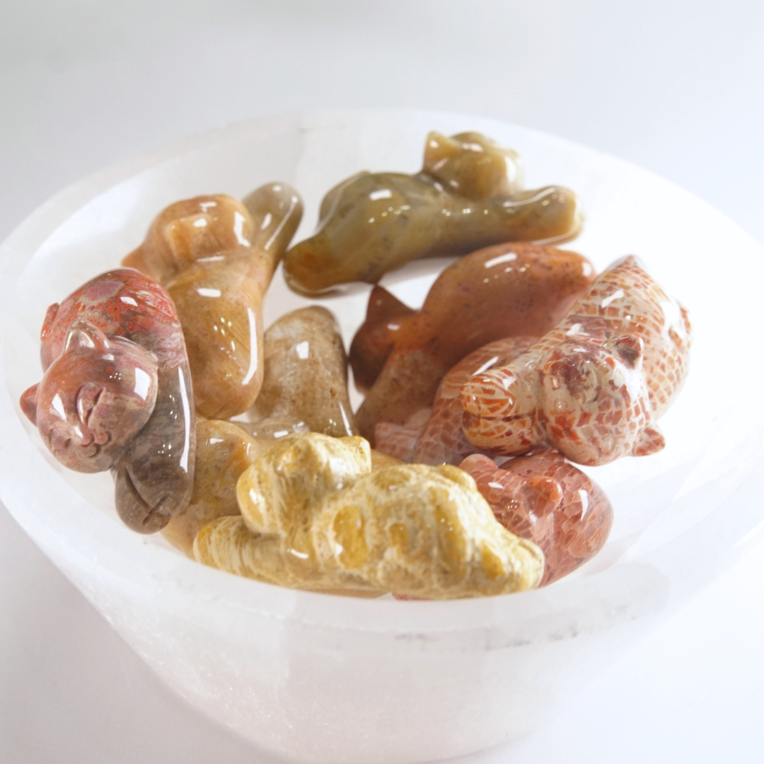 MINI Coral Jasper Stretching Cat Carving | Intuitively Chosen