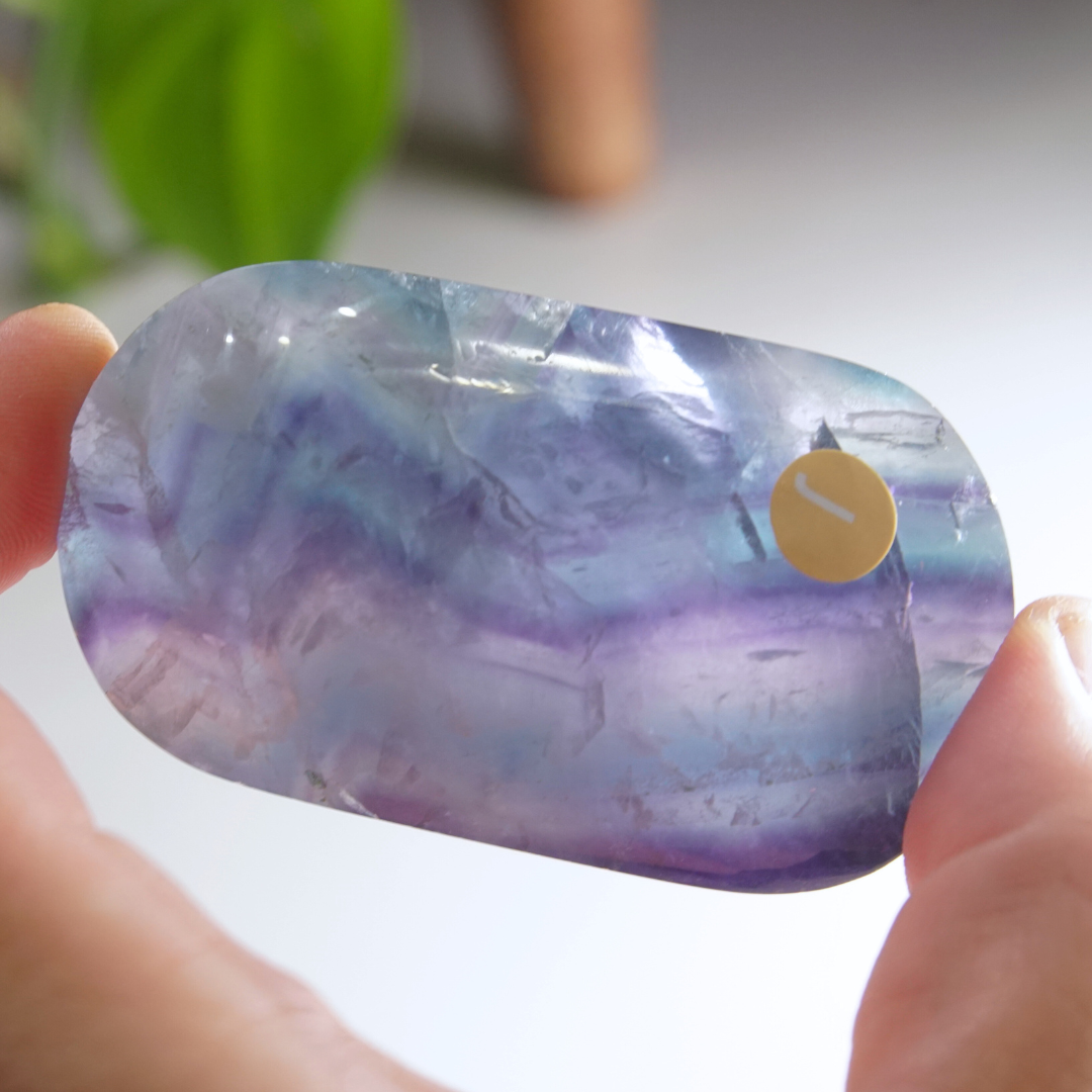 Rainbow Fluorite Palm Stone | High Quality Glassy Fluorite Palm Stone (J)