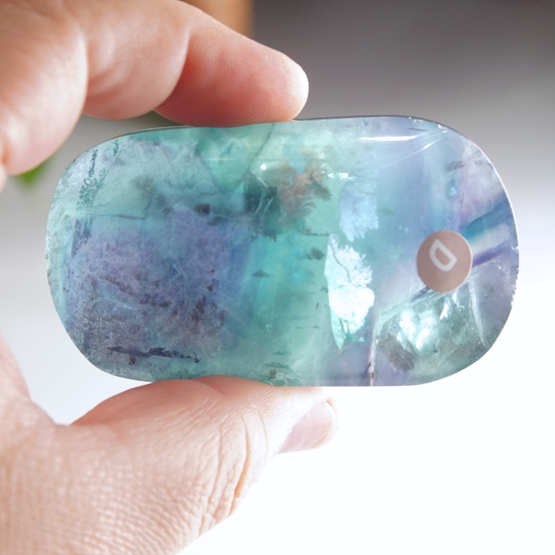 Rainbow Fluorite Palm Stone | High Quality Glassy Fluorite Palm Stone (D)