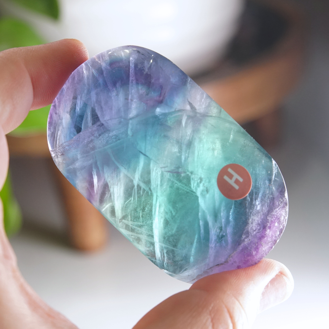 Rainbow Fluorite Palm Stone | High Quality Glassy Fluorite Palm Stone (H)