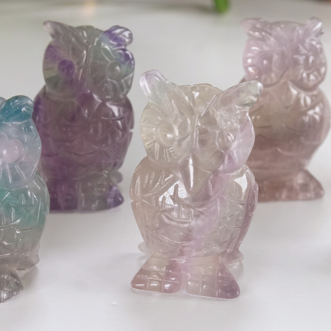 MINI Rainbow Fluorite Owl Carving | Pick Your Favorite