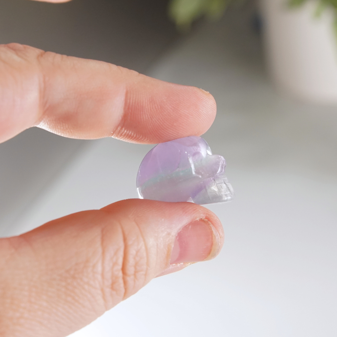 MINI Candy Fluorite Skull Carving | Intuitively Chosen