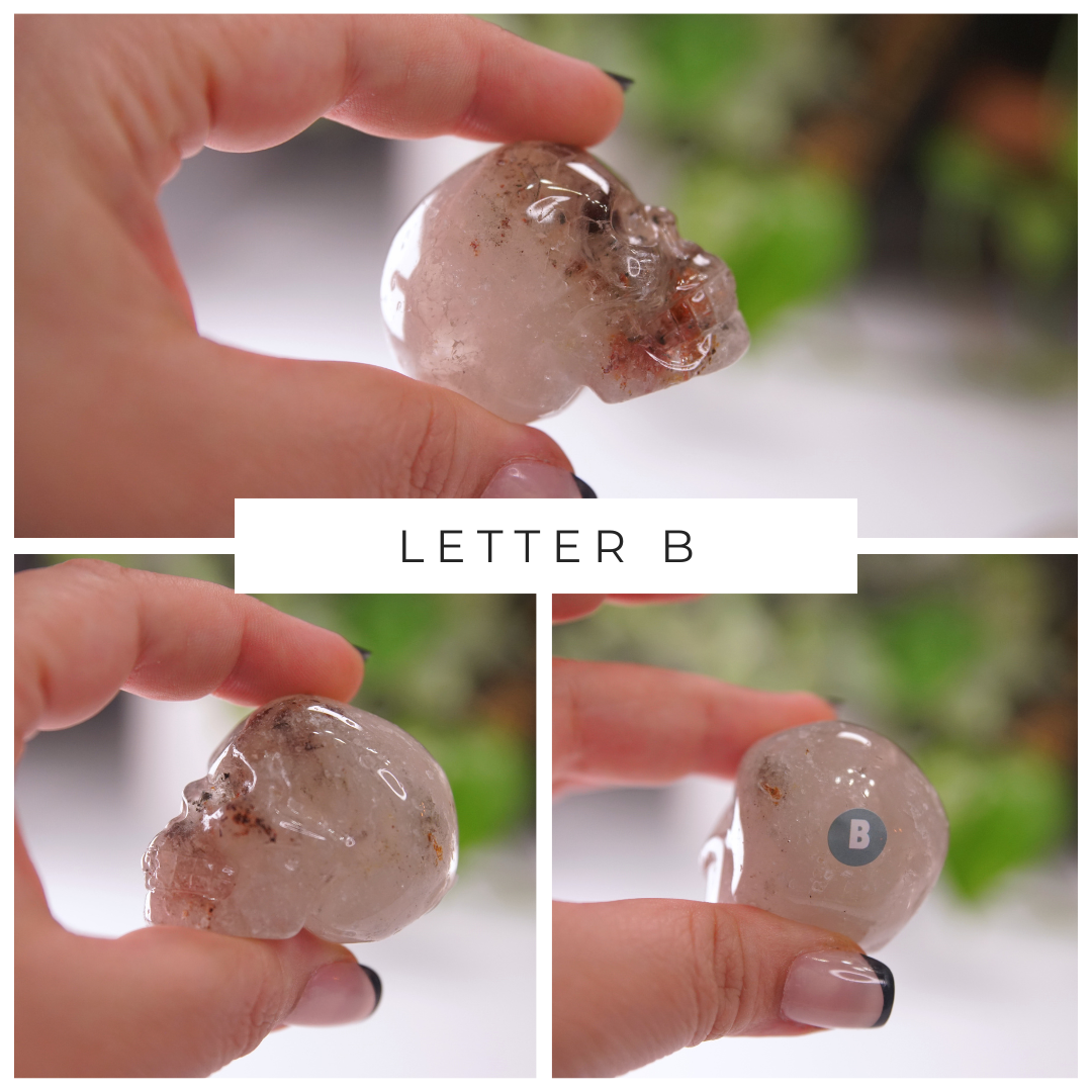 Garden Quartz Skulls Lodolite With Inclusions Crystal Carving (Medium)