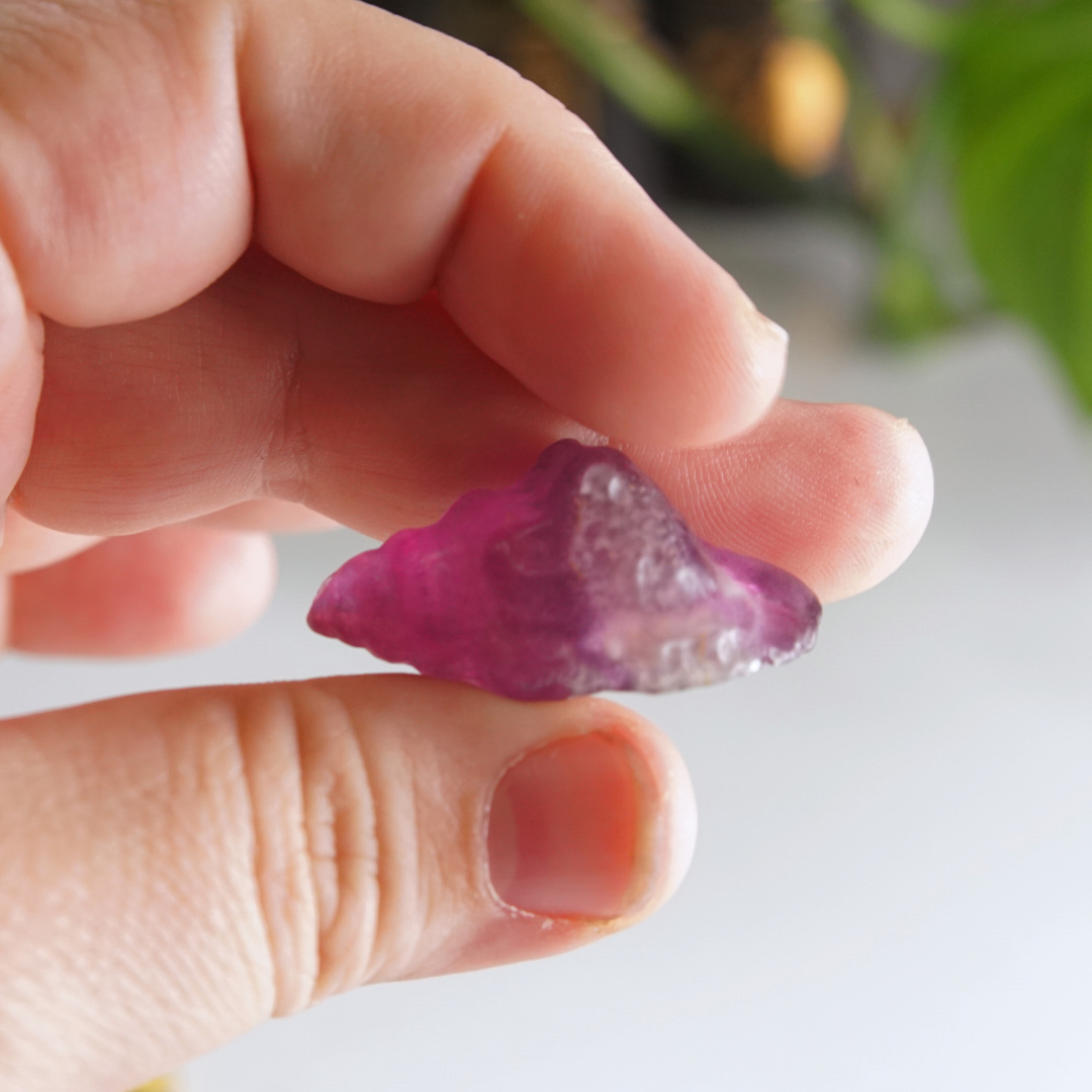 MINI Candy Fluorite Seashell Carving | Intuitively Chosen