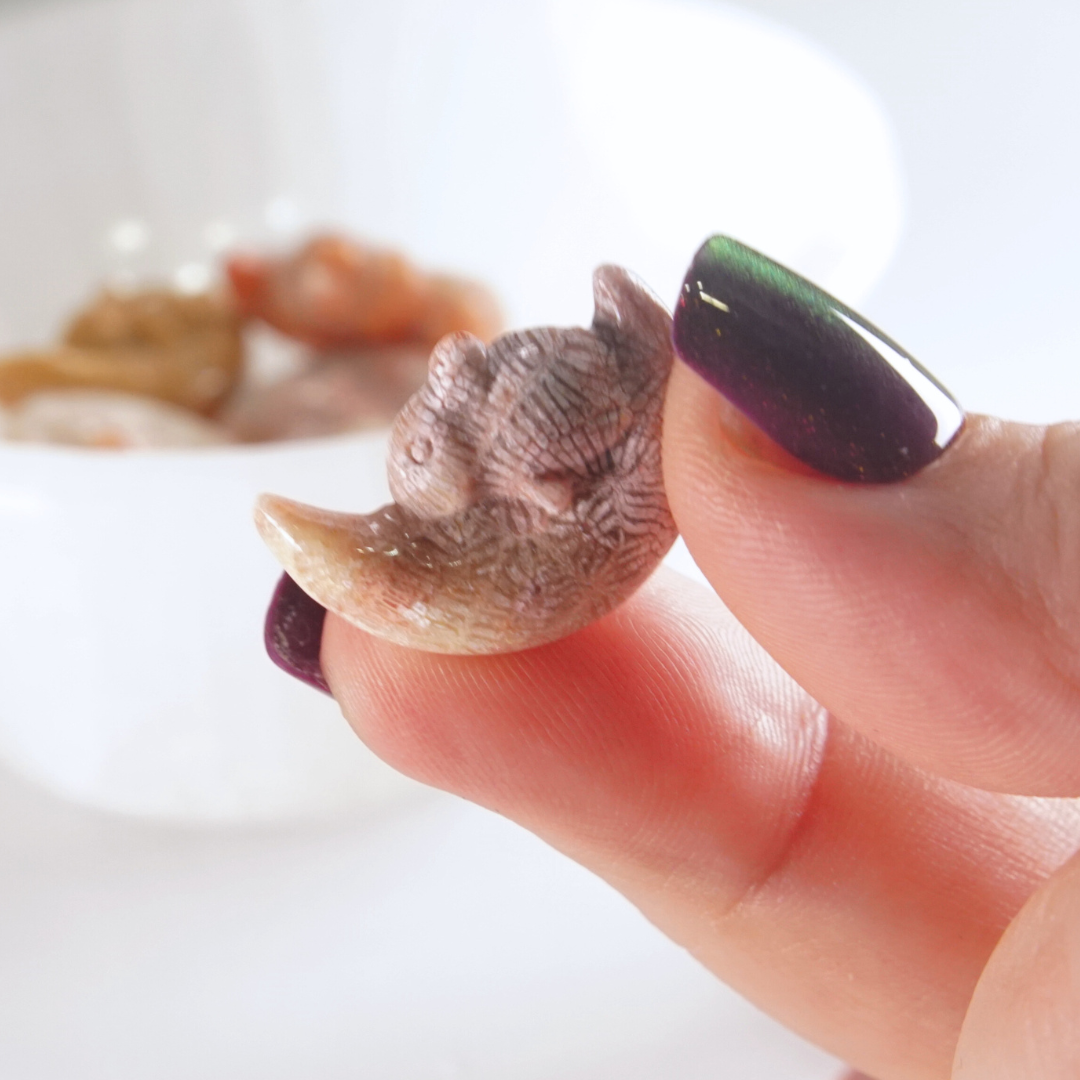MINI Coral Jasper Sleepy Bunny On Moon Carving | Intuitively Chosen