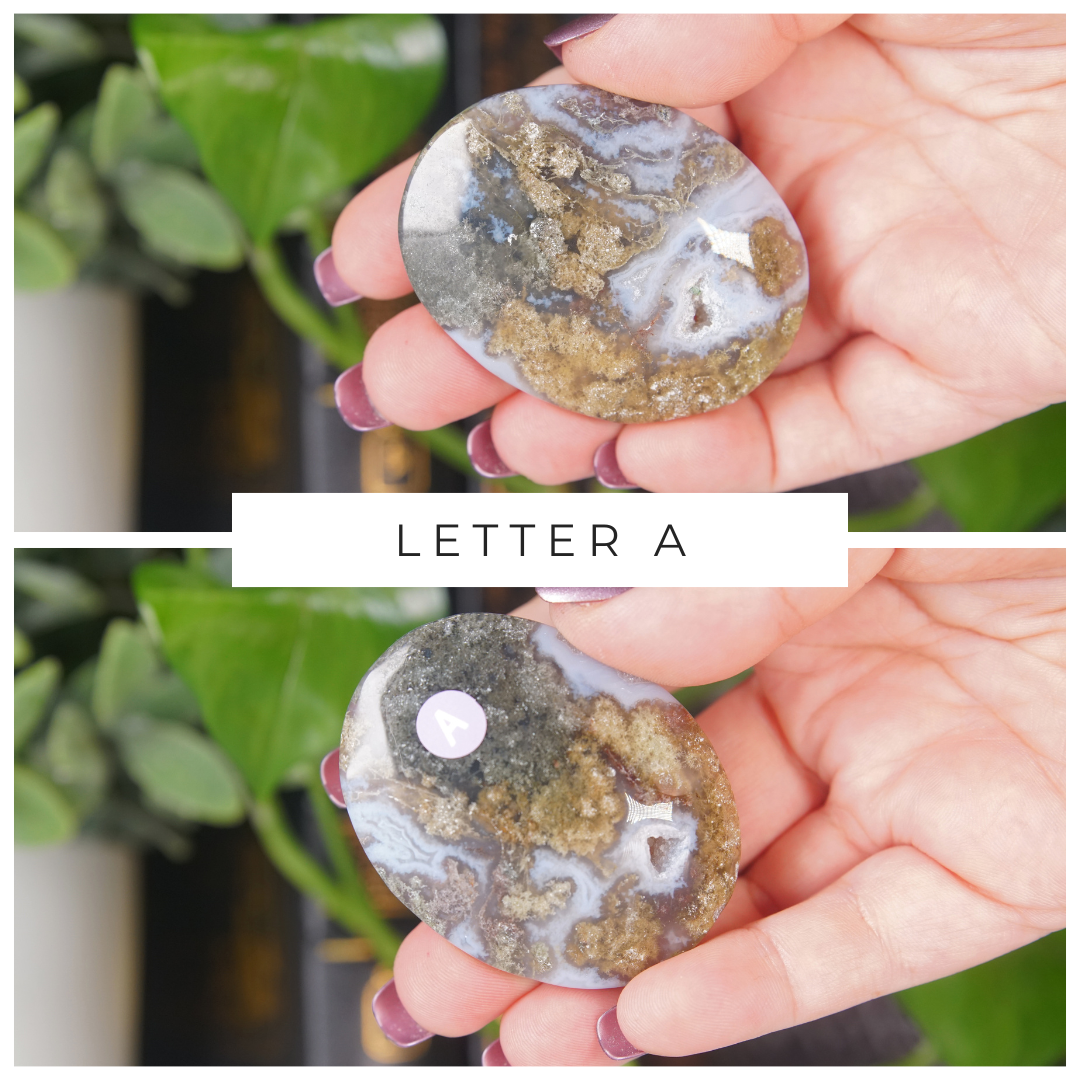 Moss Agate High Quality Palm Stones | Pick Your Favorite