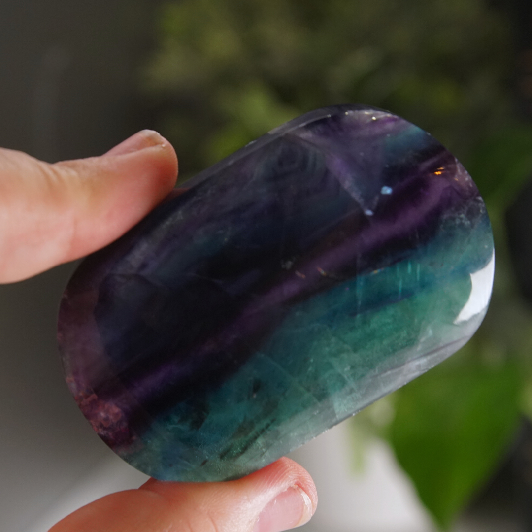 Rainbow Fluorite Palm Stone | High Quality Glassy Fluorite Palm Stone (F)