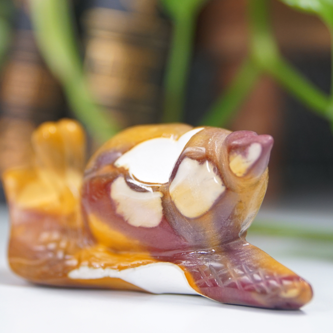 Mookaite Snail Boutique Carving
