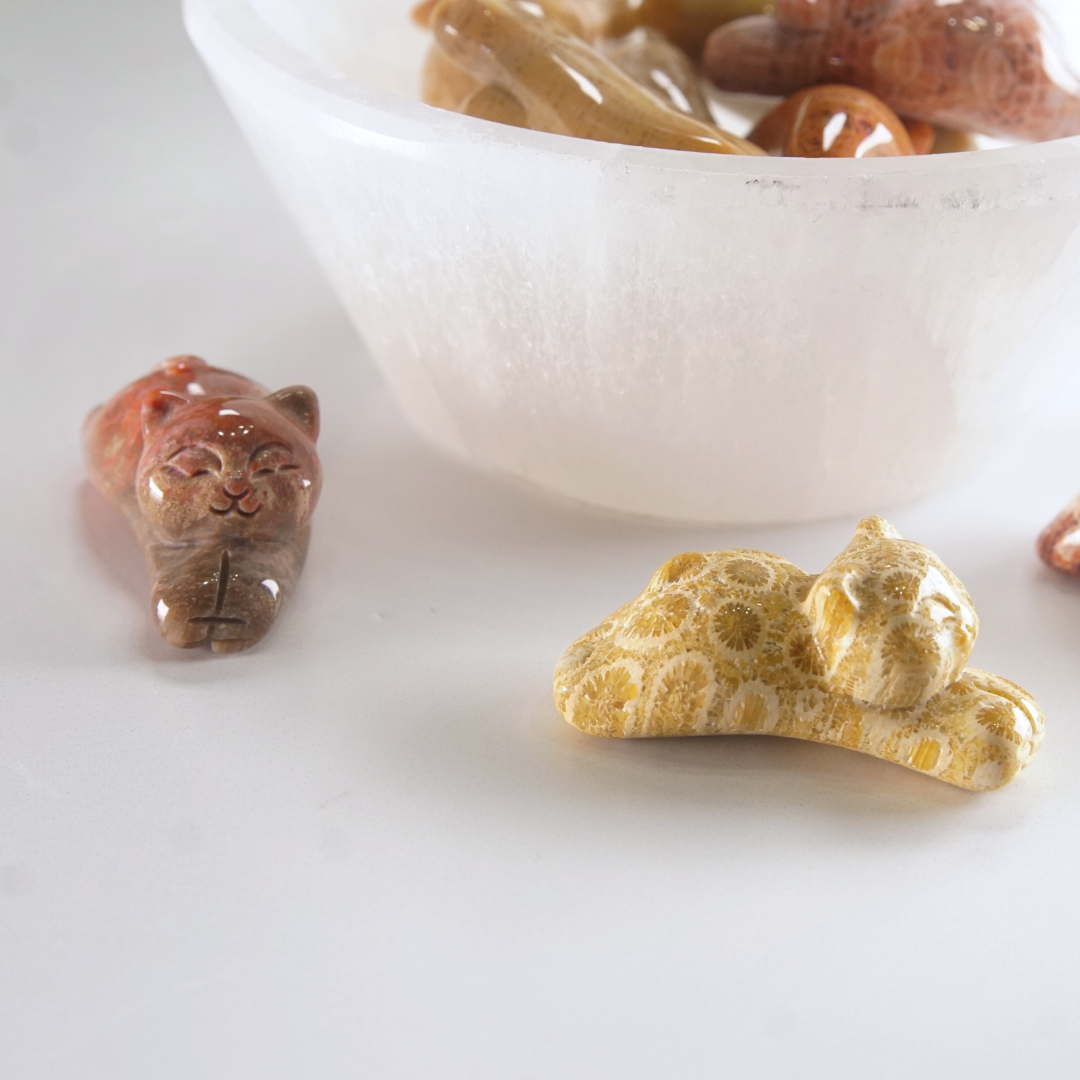 MINI Coral Jasper Stretching Cat Carving | Intuitively Chosen