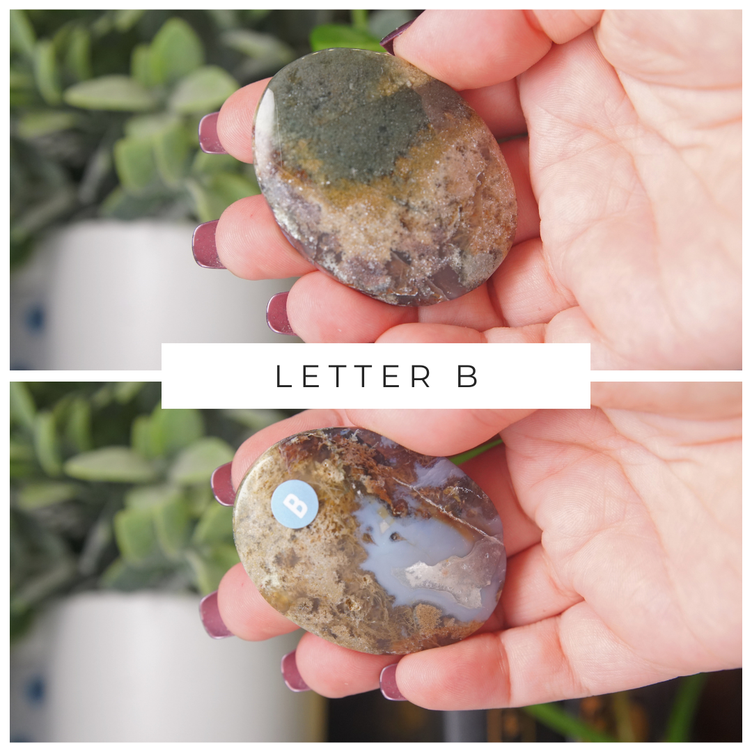 Moss Agate High Quality Palm Stones | Pick Your Favorite