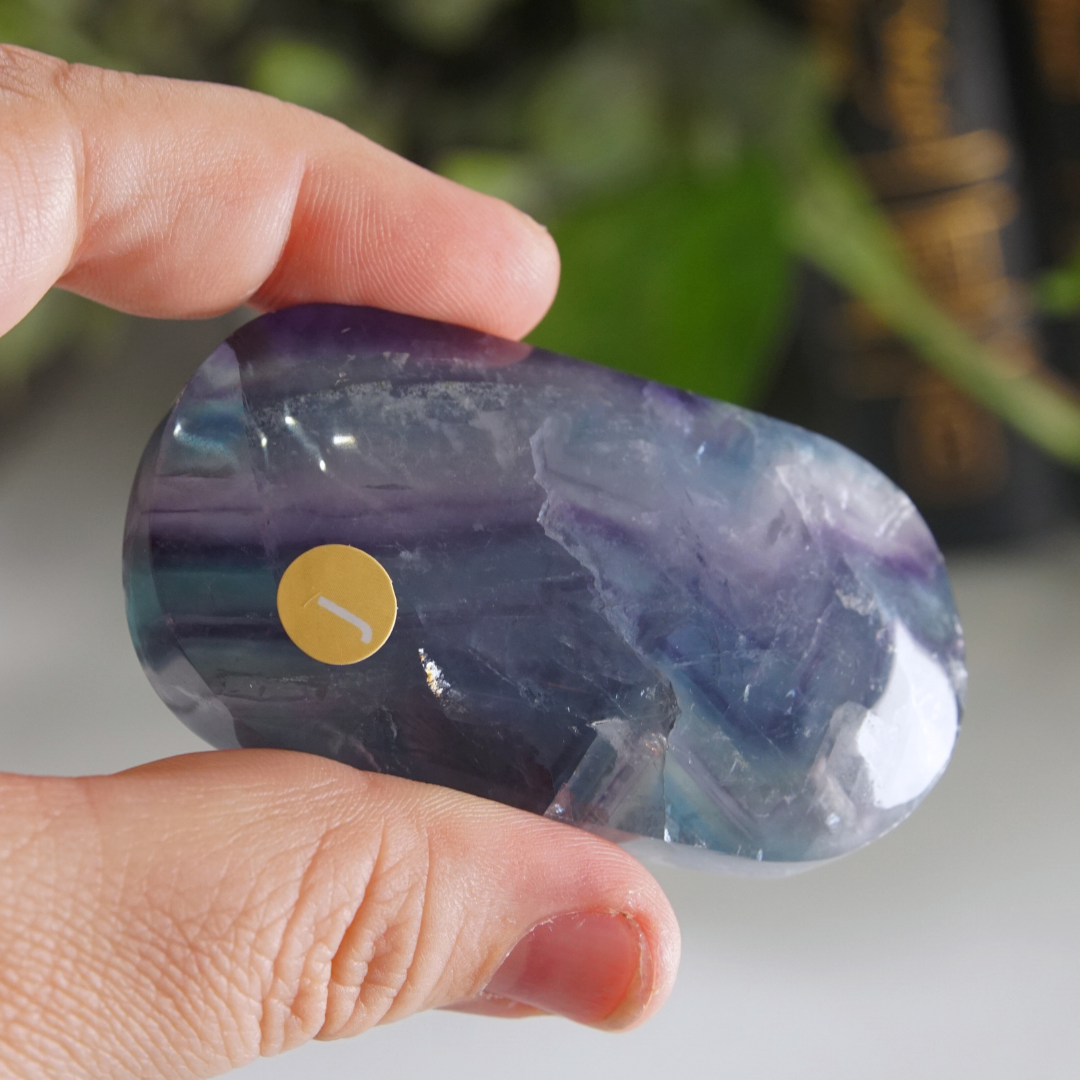 Rainbow Fluorite Palm Stone | High Quality Glassy Fluorite Palm Stone (J)