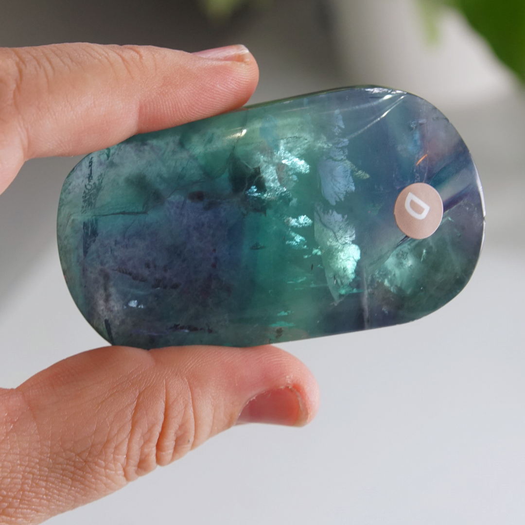 Rainbow Fluorite Palm Stone | High Quality Glassy Fluorite Palm Stone (D)