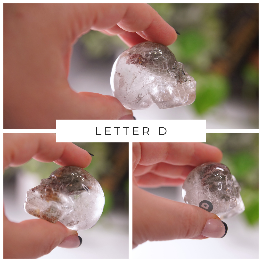 Garden Quartz Skulls Lodolite With Inclusions Crystal Carving (Medium)