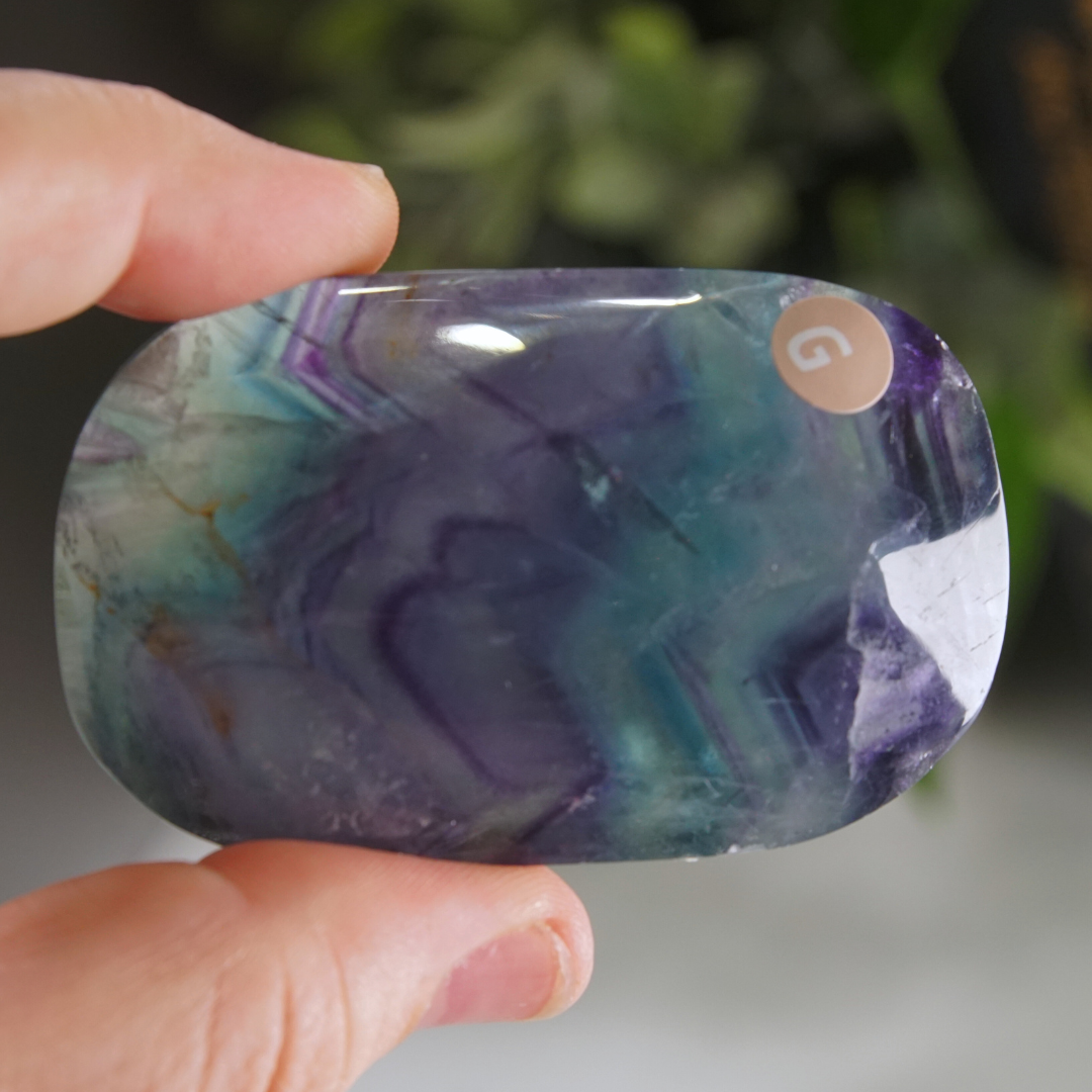 Rainbow Fluorite Palm Stone | High Quality Glassy Fluorite Palm Stone (G)