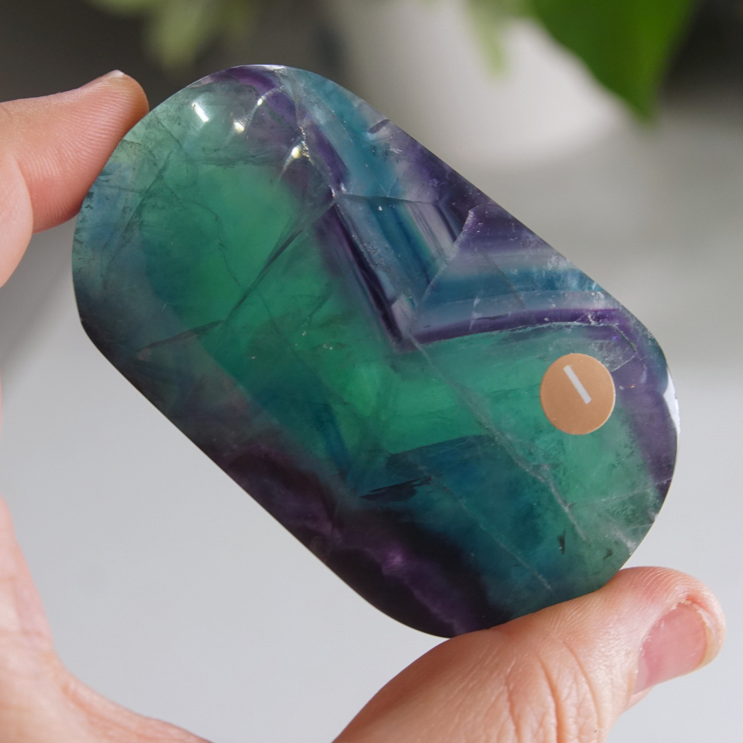 Rainbow Fluorite Palm Stone | High Quality Glassy Fluorite Palm Stone (I)