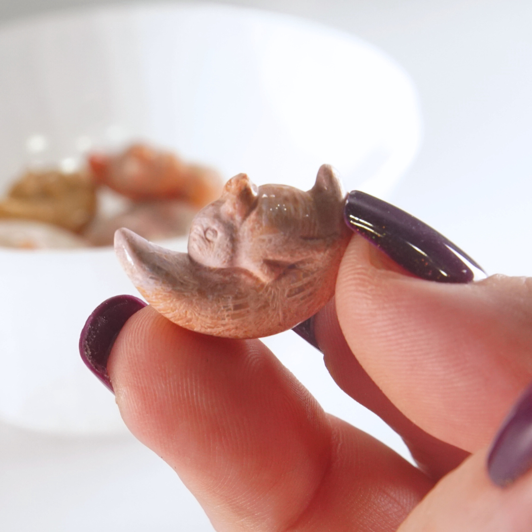 MINI Coral Jasper Sleepy Bunny On Moon Carving | Intuitively Chosen