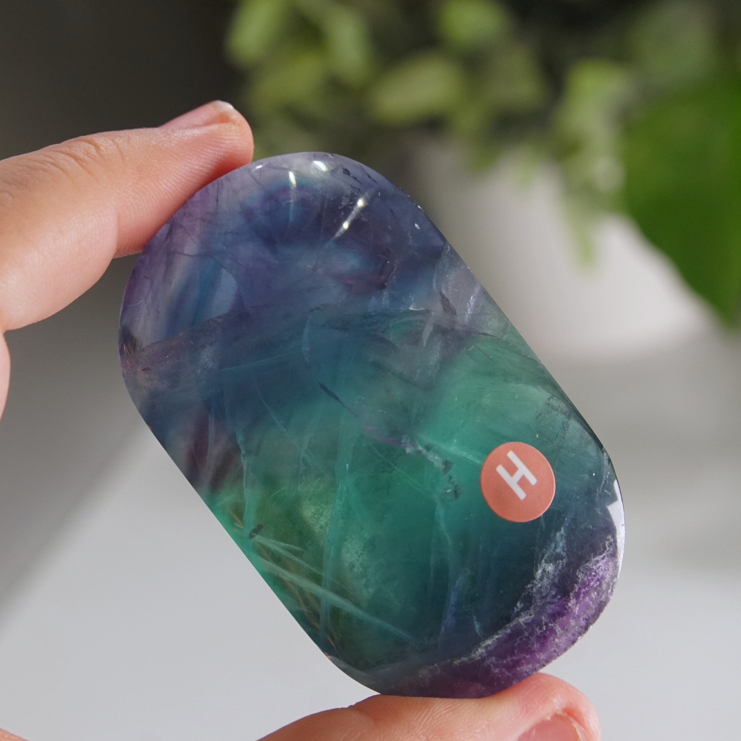 Rainbow Fluorite Palm Stone | High Quality Glassy Fluorite Palm Stone (H)