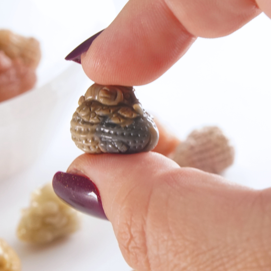MINI Alashan Agate Sleepy Elephant On Peanut Carving | Intuitively Chosen