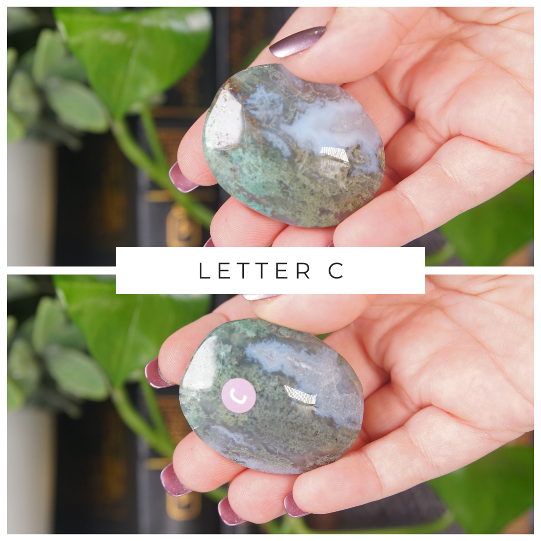 Moss Agate High Quality Palm Stones | Pick Your Favorite
