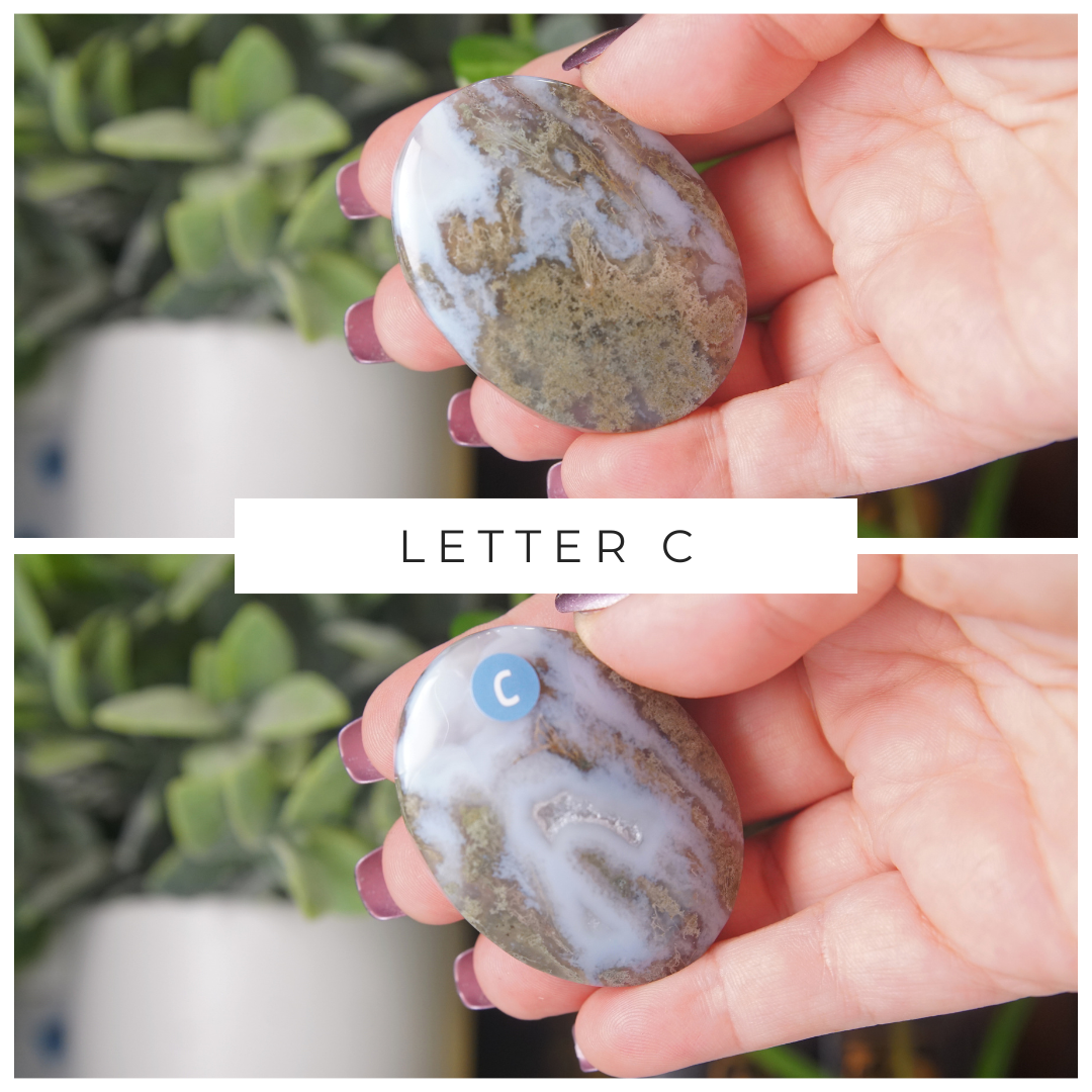 Moss Agate High Quality Palm Stones | Pick Your Favorite