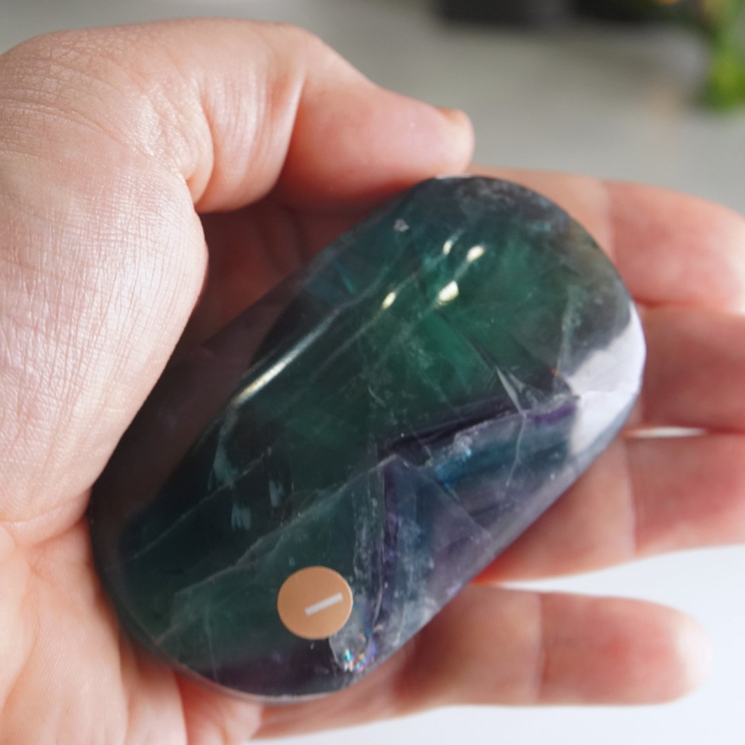 Rainbow Fluorite Palm Stone | High Quality Glassy Fluorite Palm Stone (I)