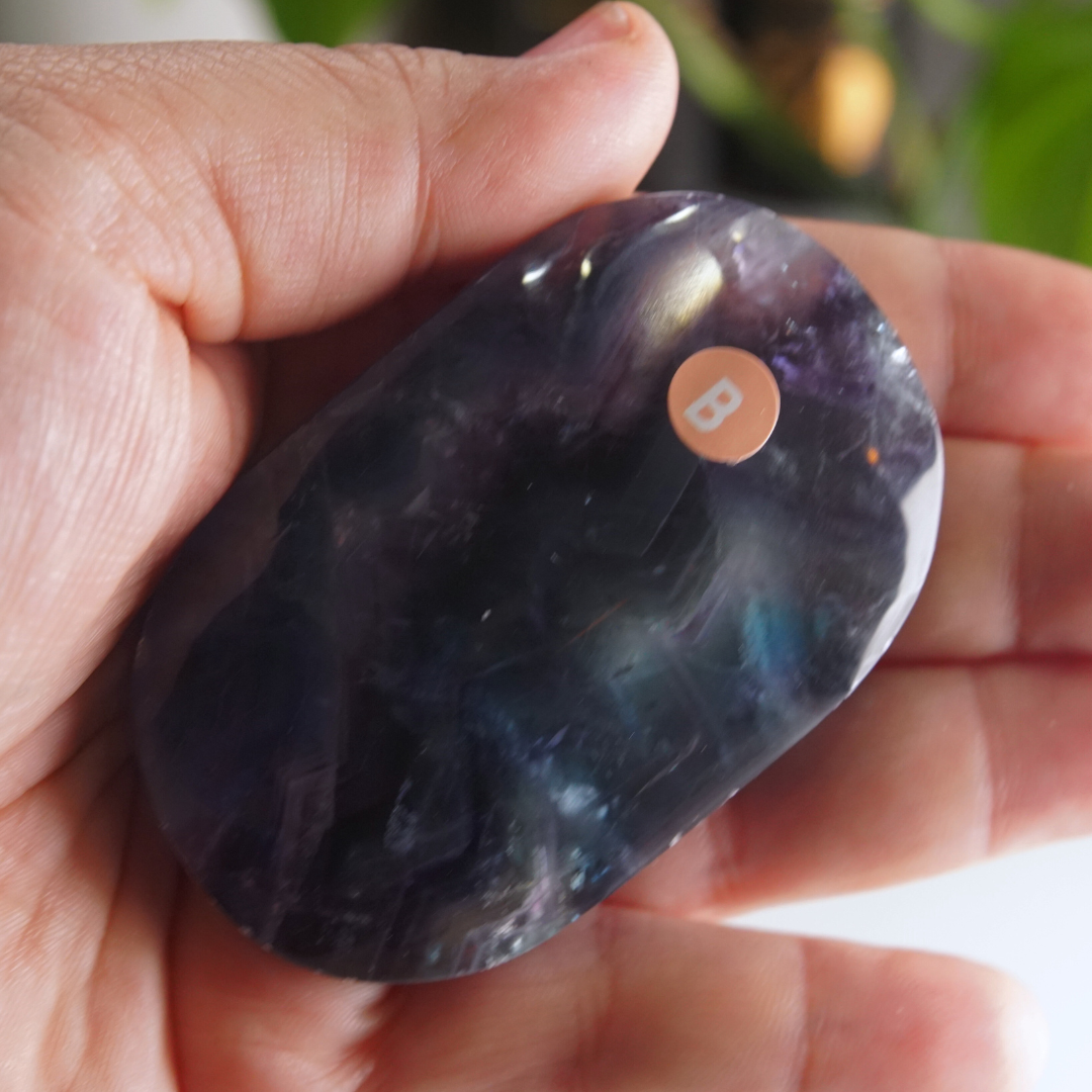 Rainbow Fluorite Palm Stone | High Quality Glassy Fluorite Palm Stone (B)