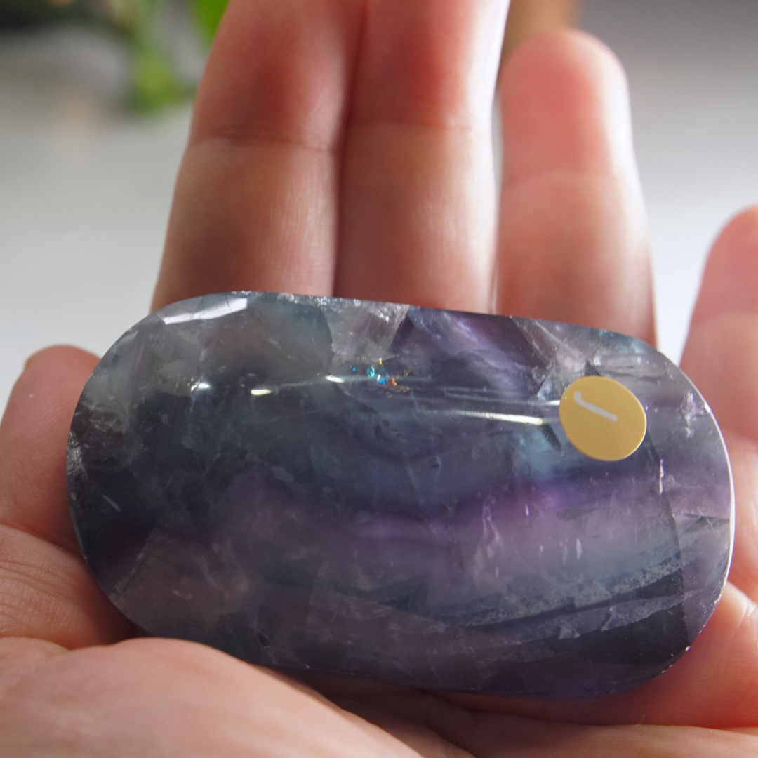 Rainbow Fluorite Palm Stone | High Quality Glassy Fluorite Palm Stone (J)