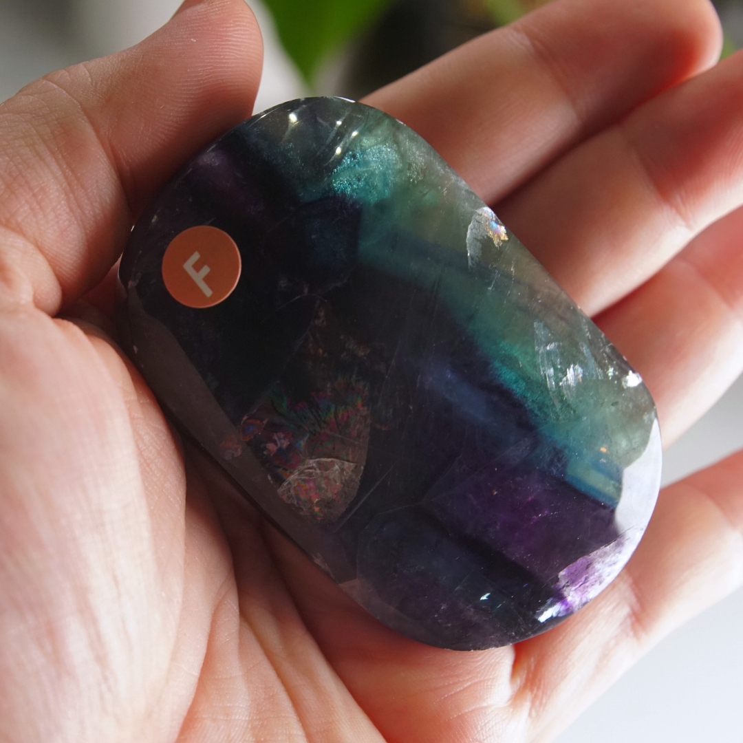 Rainbow Fluorite Palm Stone | High Quality Glassy Fluorite Palm Stone (F)