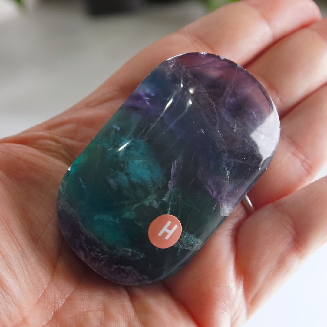Rainbow Fluorite Palm Stone | High Quality Glassy Fluorite Palm Stone (H)