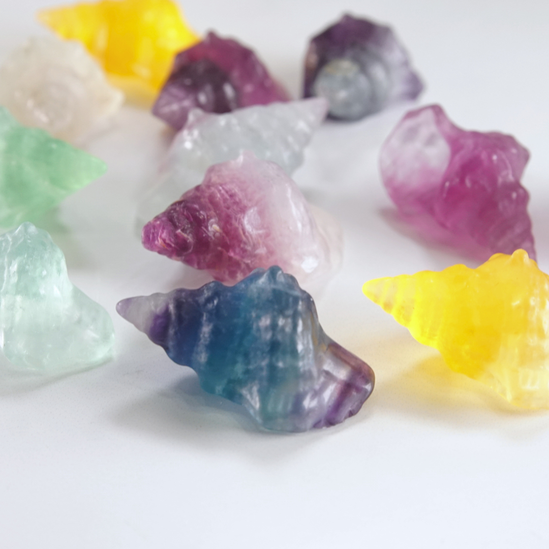 MINI Candy Fluorite Seashell Carving | Intuitively Chosen