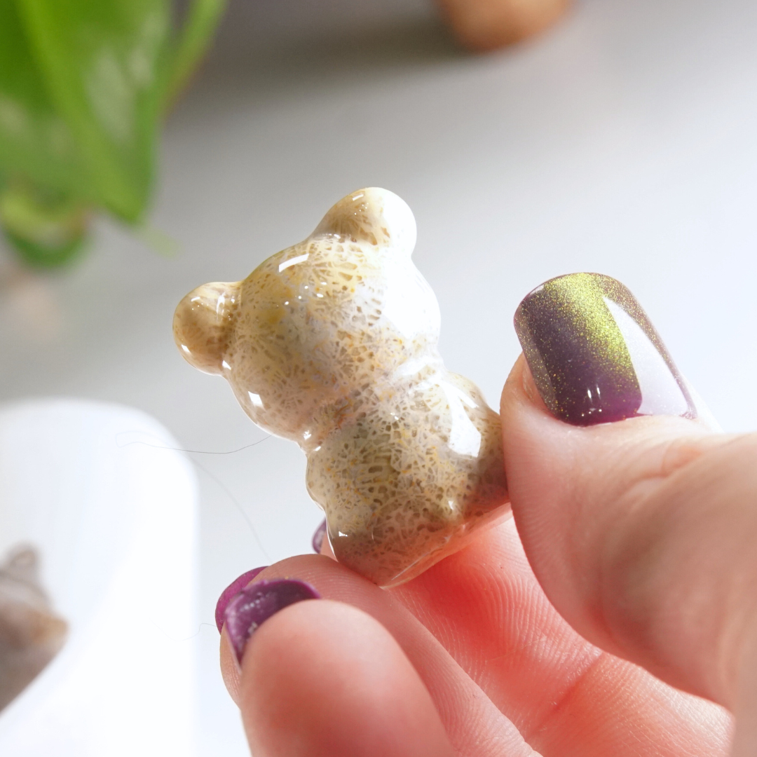 MINI Coral Jasper Teddy Bear Carving | Intuitively Chosen