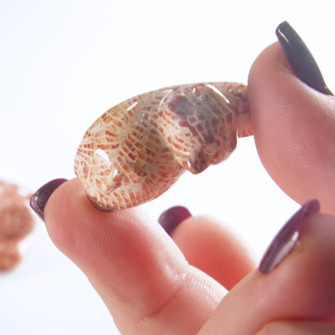 MINI Coral Jasper Stretching Cat Carving | Intuitively Chosen
