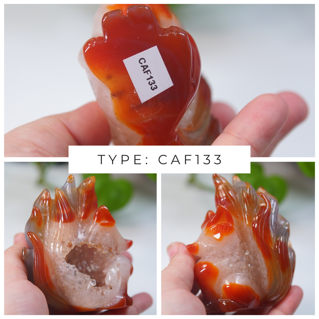 Druzy Carnelian Fox Boutique Carvings
