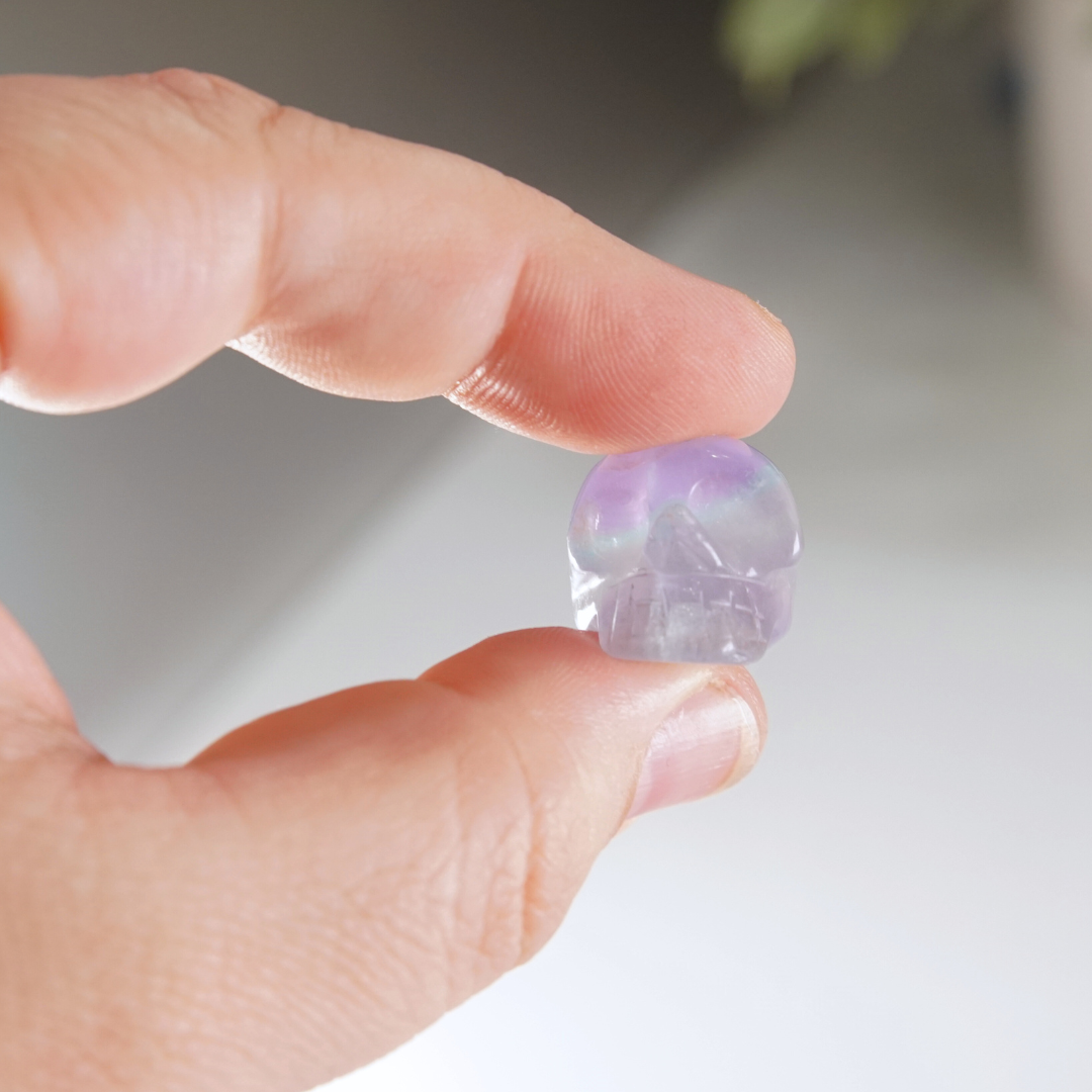 MINI Candy Fluorite Skull Carving | Intuitively Chosen