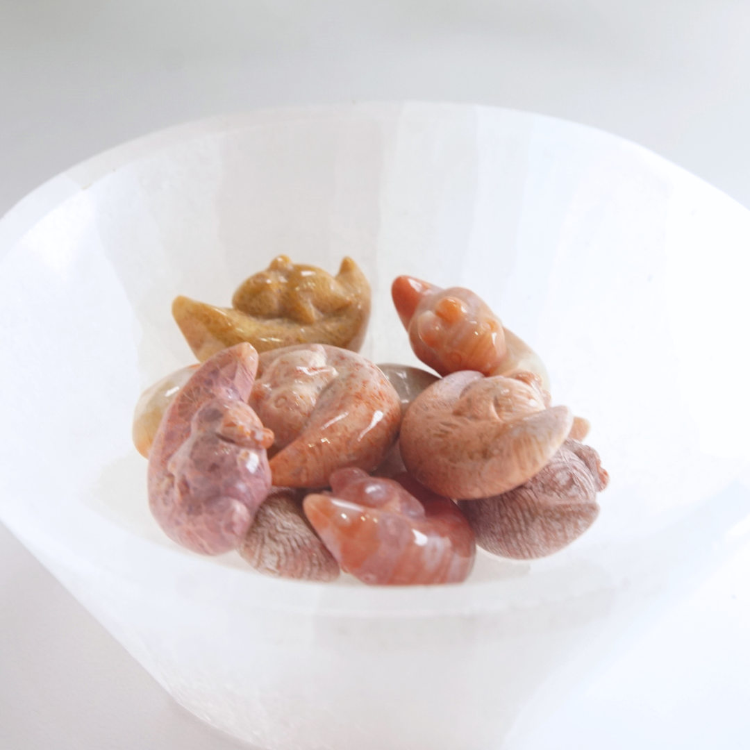 MINI Coral Jasper Sleepy Bunny On Moon Carving | Intuitively Chosen
