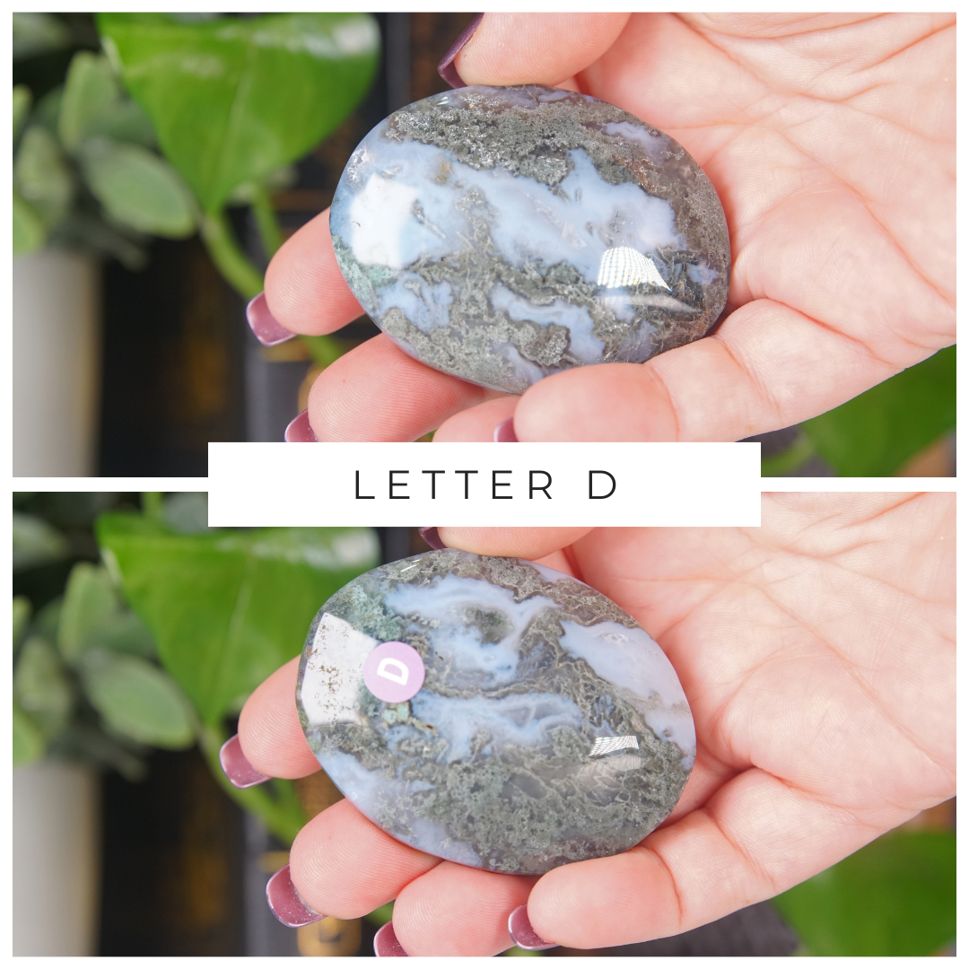 Moss Agate High Quality Palm Stones | Pick Your Favorite